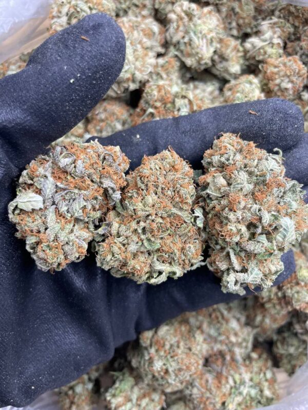 Sunset OG strain