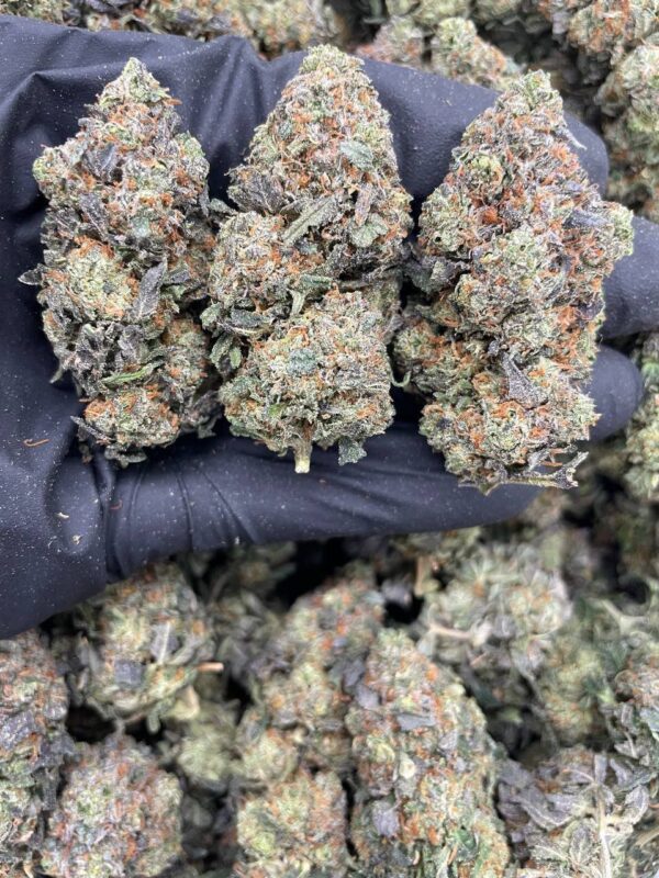 Tropical Sherbert